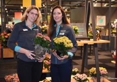 De kweker Slijkerman is één van de Decorum kwekers en die werd dit jaar vertegenwoordigd door Nienke Nijenhuis en Myrthe Boersen. Beide dames met hun noviteit, ook genomineerd voor de Glazen Tulp, de enkelbloemige Tiger Kalanchoë.